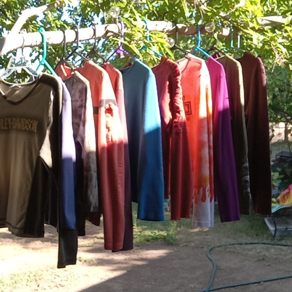 Harley Davidson  shirts